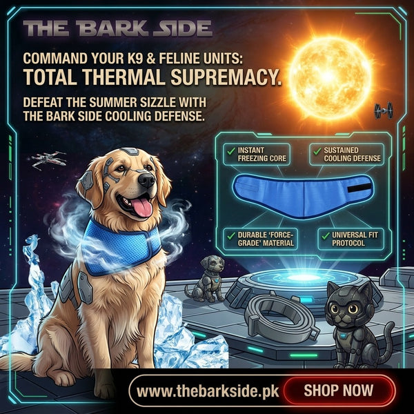 Pet Cooling Collar