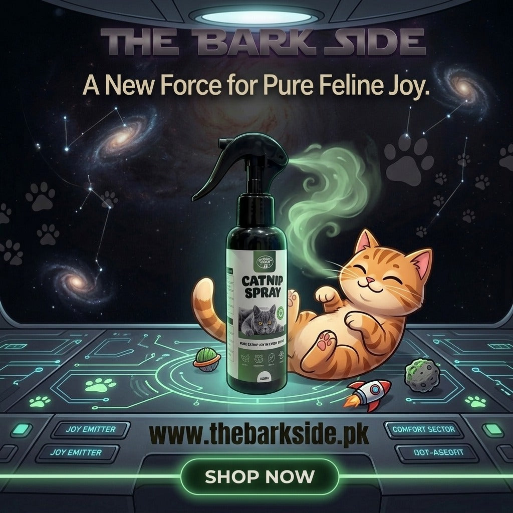 Giggly Tails Cat Nip Spray - 120ml