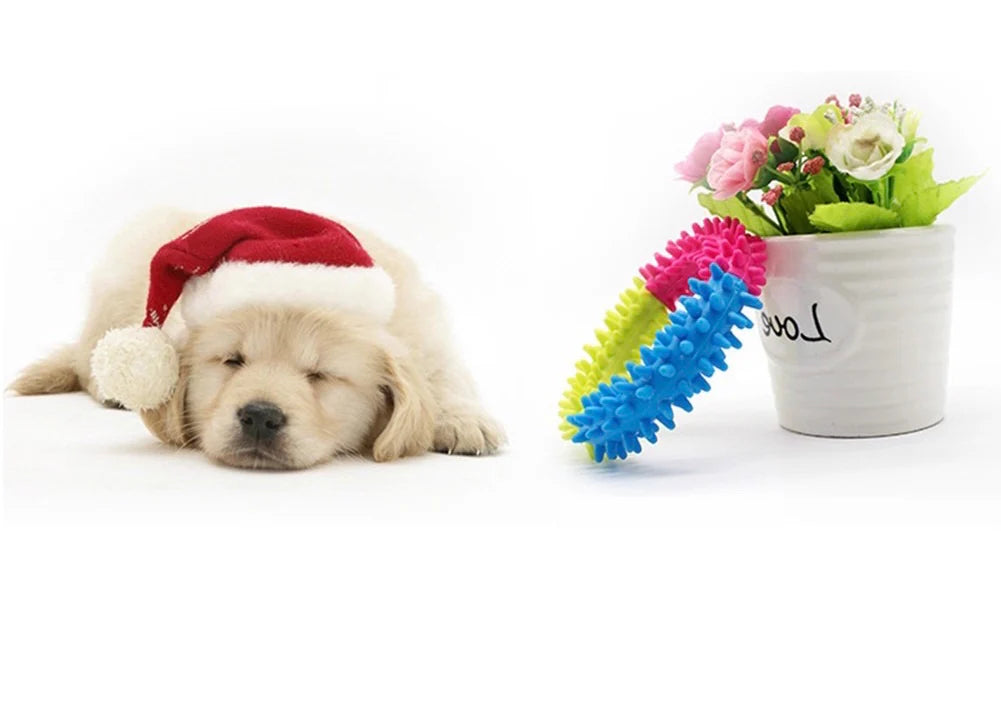 Ring Teether for Dogs-colourful-teething-ring-toy-dogs-training-natural rubber-dental nubs-dental care