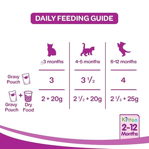 Whiskas-Jelly-nutrition-cat-food-wet-food-gravy-poultry-jelly-pet-nutrition-cat-kittens