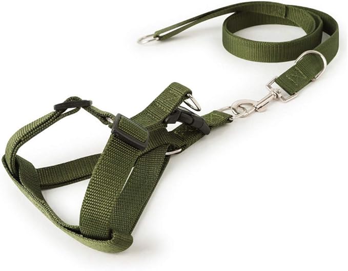 Dog Harness with Leash Large-adjustable-dog-training-walking-harness-leash-sturdy-strong-durable