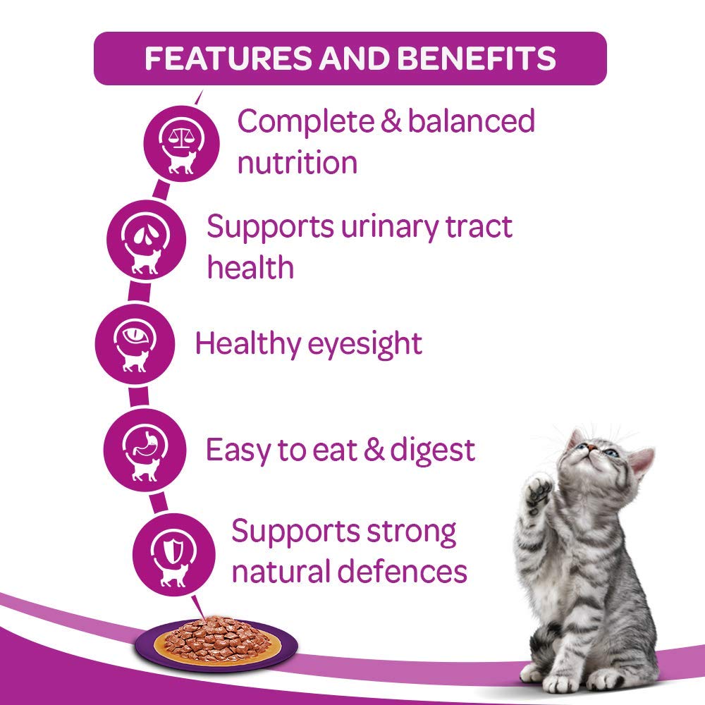 Whiskas-Jelly-nutrition-cat-food-wet-food-gravy-poultry-jelly-pet-nutrition-cat-kittens