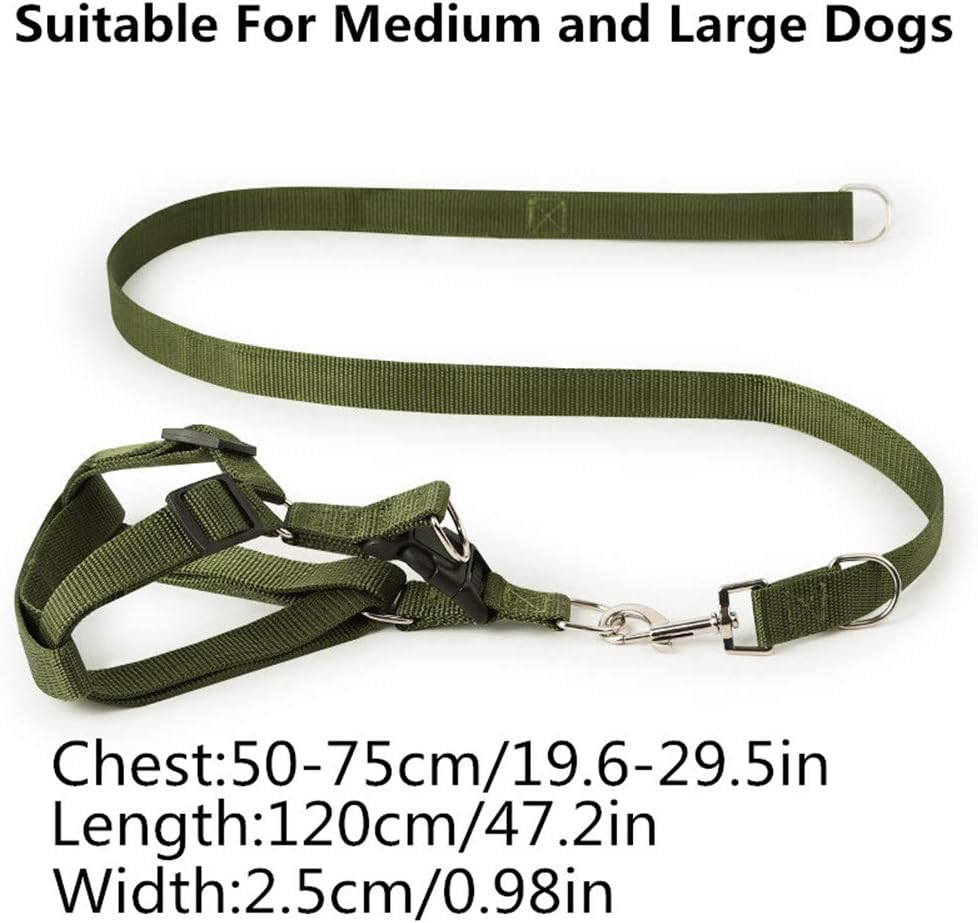 Dog Harness with Leash Large-adjustable-dog-training-walking-harness-leash-sturdy-strong-durable