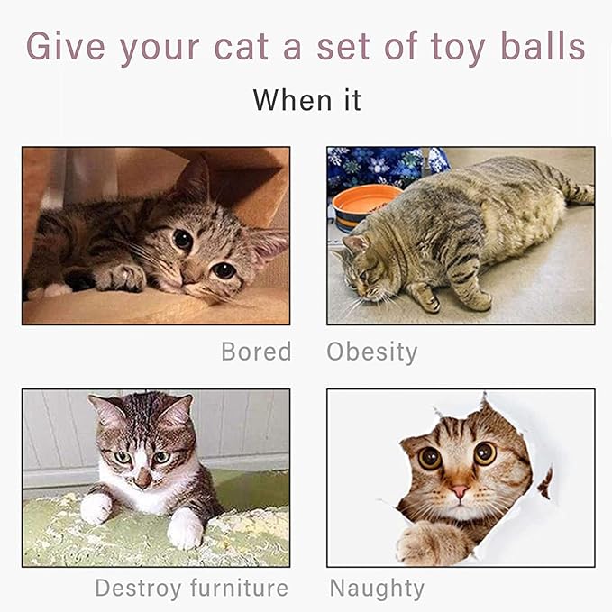Fur Ball for Cats