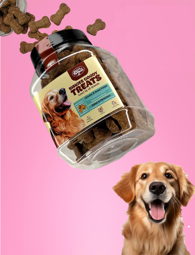 Biskies Goody Treat Jar-treat-dogs-sweet potato-chicken-biscuit-bone-shaped-baked-goody-treats-pets