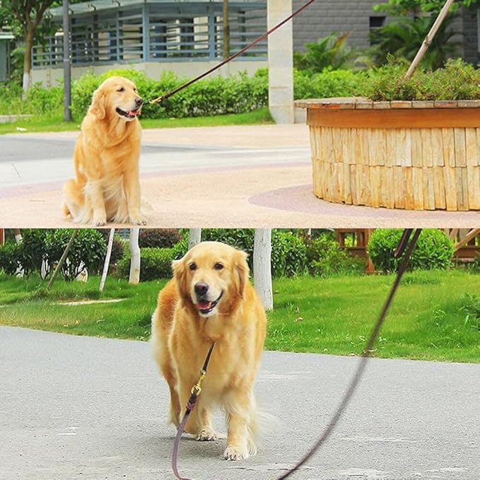 Leather-Leash-Show-Quality-Dogs-Dog show-Heavy Duty- Genuine Leather-Sturdy-Ergonomic