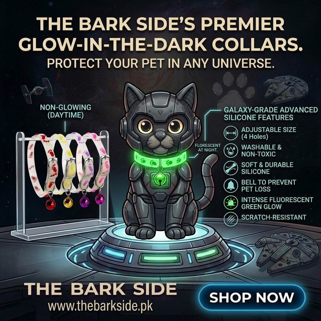Cat Collar Glow in the Dark
