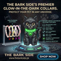 Cat Collar Glow in the Dark