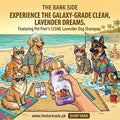 Pet Peer Dog Shampoo