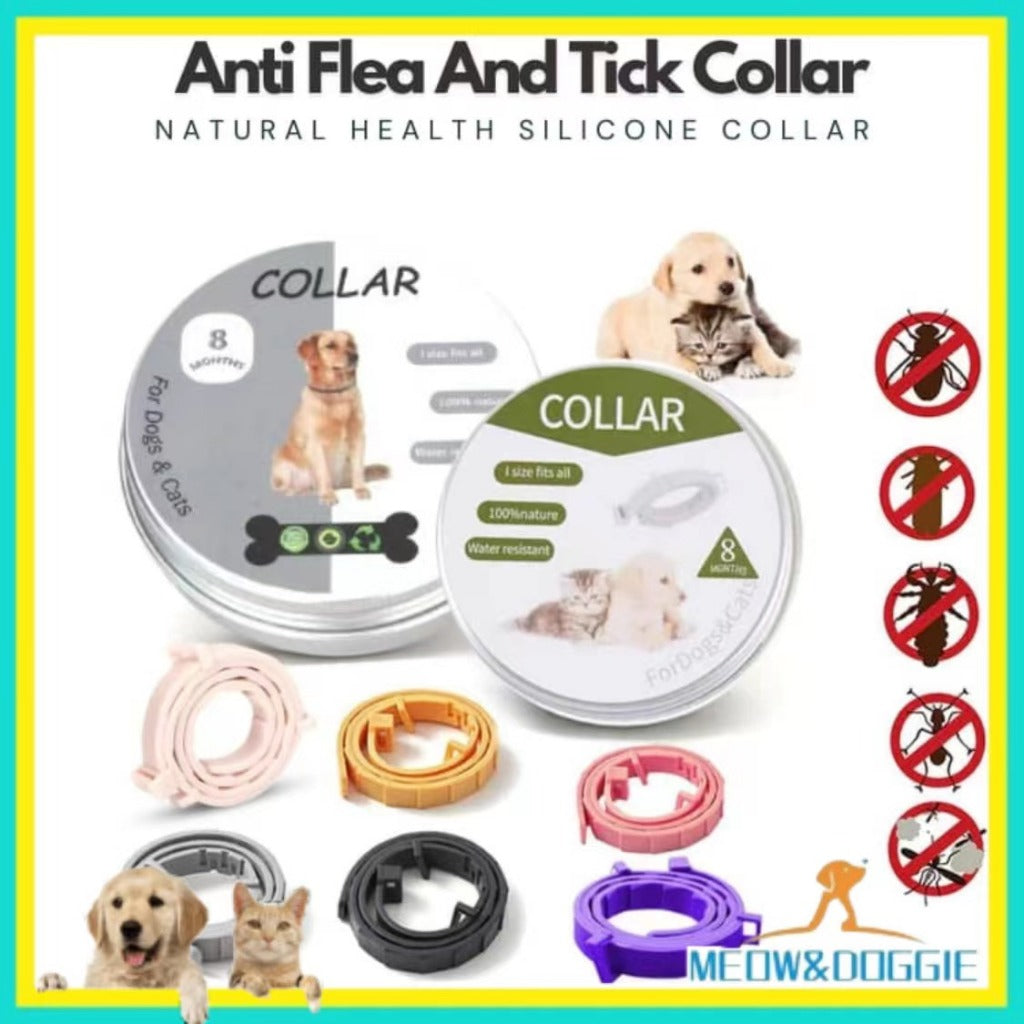 Flea & Tick Collar