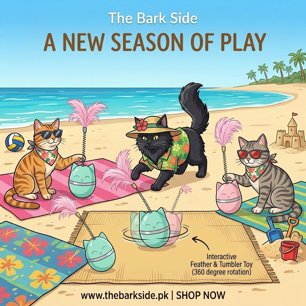 Interactive Feather & Tumbler Toy