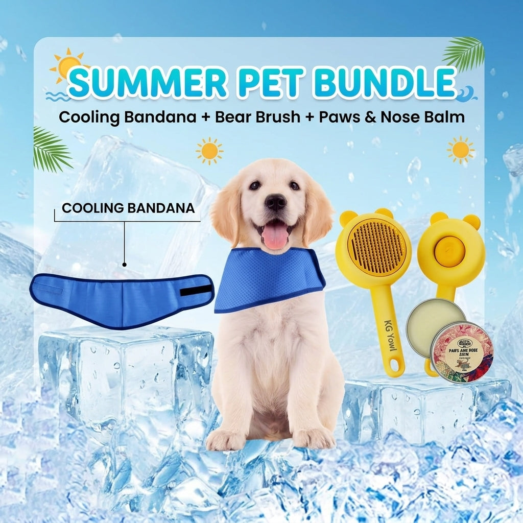 Summer Bundle 1