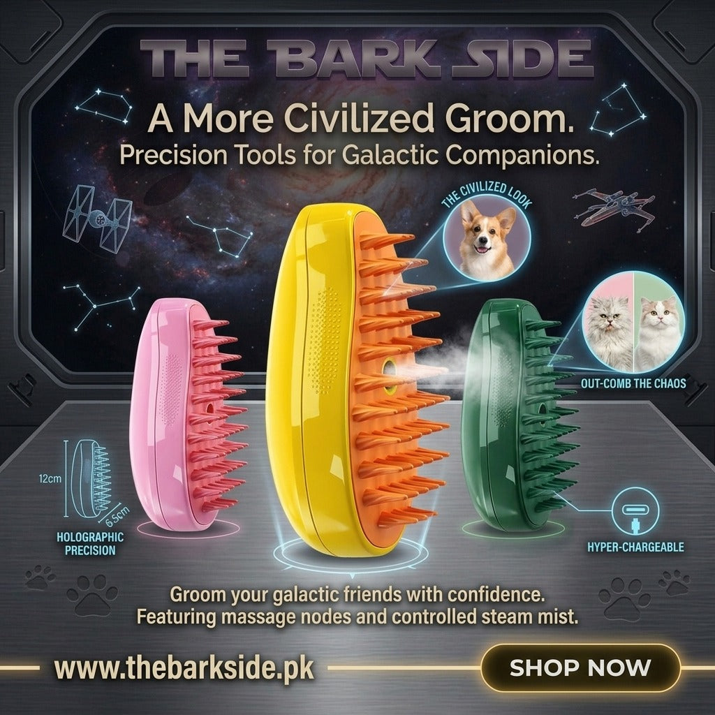 Massage Steam Brush