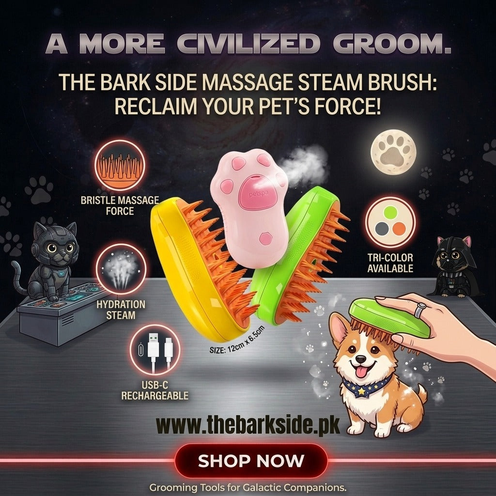 Massage Steam Brush