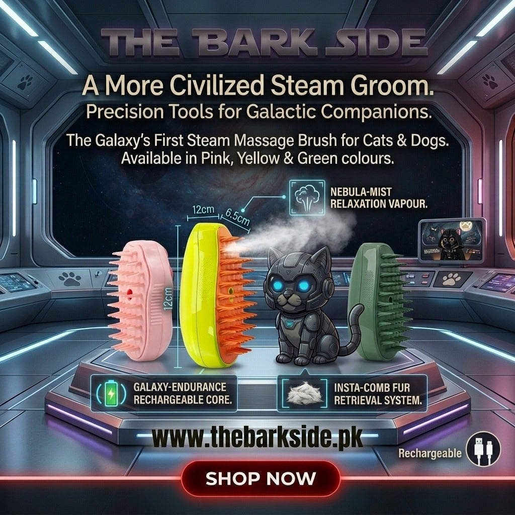 Massage Steam Brush