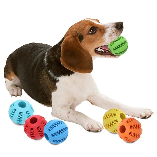 Treat Ball Teether for Dogs Large-colourful-teething-ball-toy-dogs-training-natural rubber-interactive play-dental care