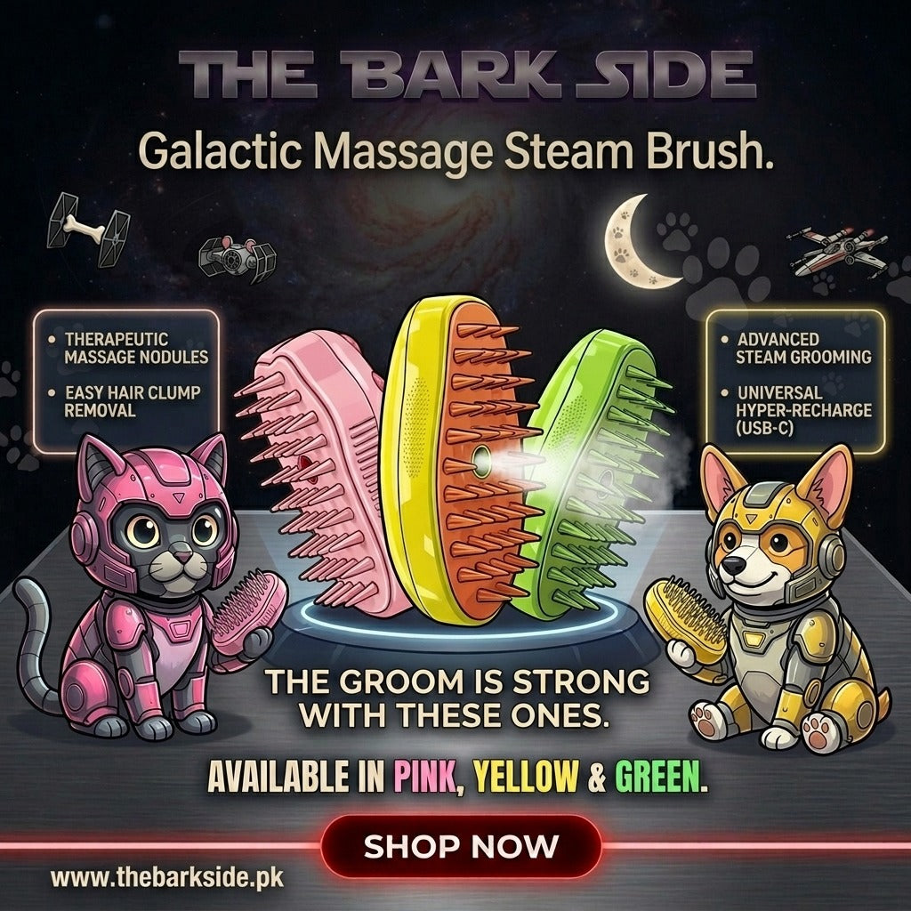 Massage Steam Brush
