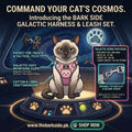 CAT HARNESS WITH POCKET