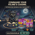Whiskas Jelly